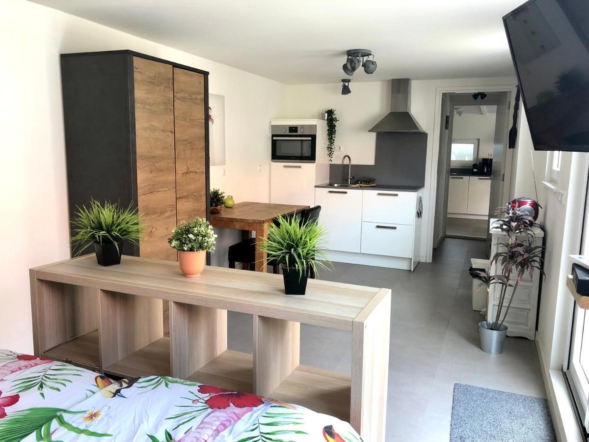 Ferienhaus Gluecklich Am Meer 3 Mit Wellnesszugang Egmond aan Zee Exterior foto