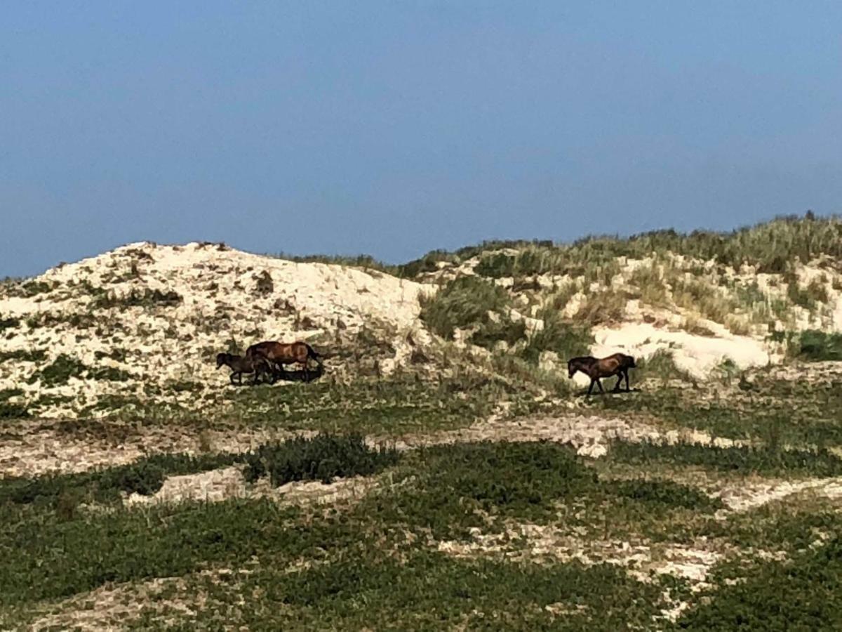 Ferienhaus Gluecklich Am Meer 3 Mit Wellnesszugang Egmond aan Zee Exterior foto